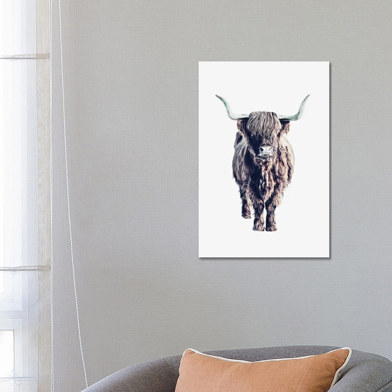 Highland Cattle Colin White 1 Piece Wrapped Canvas Wall Art, 66.04 cm H x 45.72 cm W x 1.91 cm D