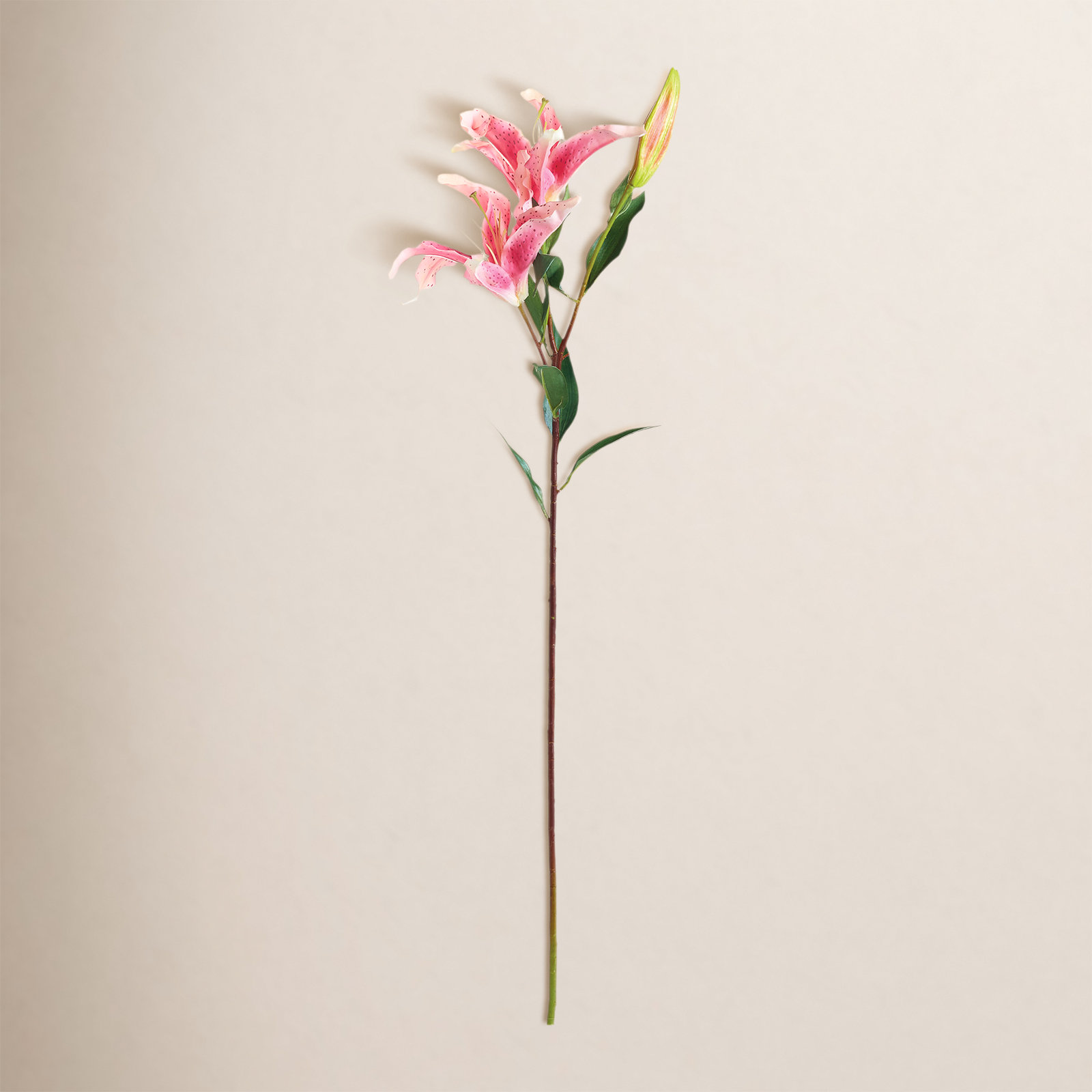 Lily Floral Stems