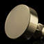 Parkview Collection Round Knob - Cabinet Knob - Transitional Hardware for Drawers & Cabinets-629656921-629656924