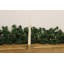 3Cm Tealight Holder