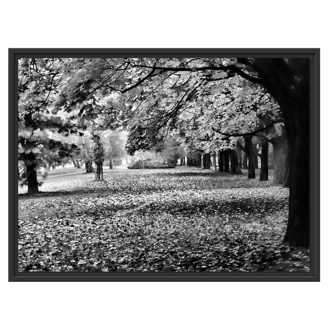 Gerahmtes Wandbild Rot gefärbter ParkHerbst