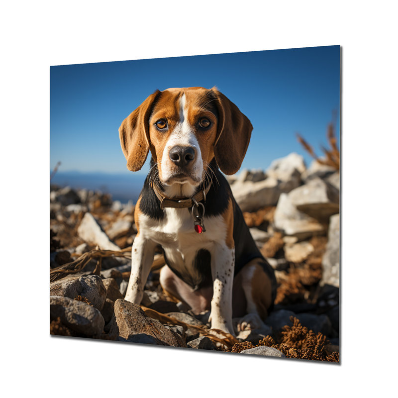 ResAU Beagle in Rocky - Art mural en métal, H 16 po x l 16 po x P 1 po