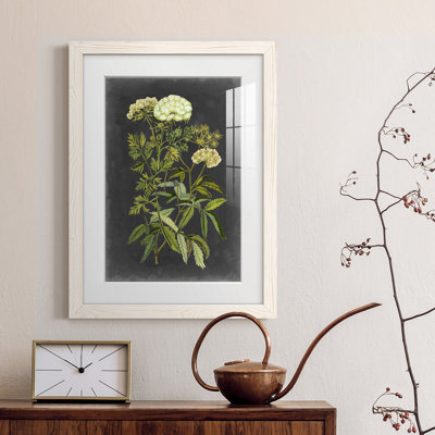 " Bookplate Floral I " Painting Print