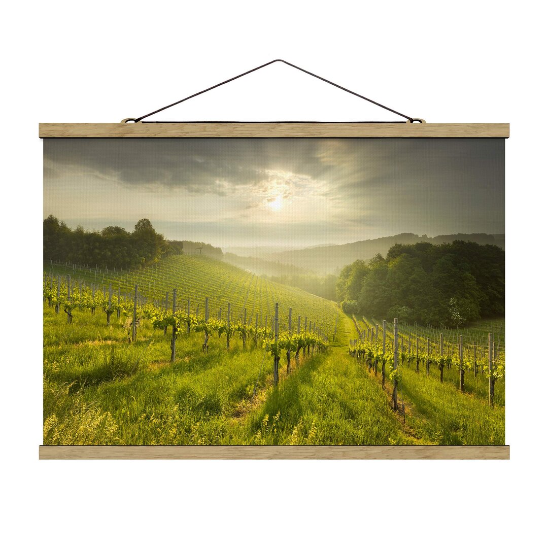 Fotodruck Sunbeams Vineyard