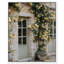 Honeyed Briar Wall Print by Oliver Gal-1535029060-1535029063