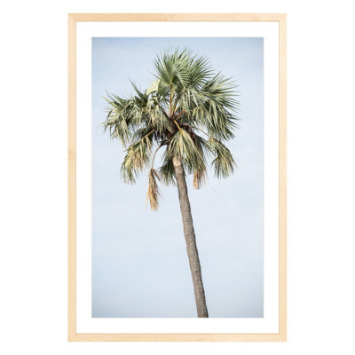 Plants & Flowers Print