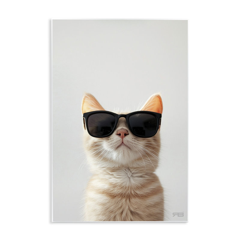 "Cool", lunettes de soleil, plaque murale sur chat par Roozbeh Bahramali, H 19 po x l 13 po