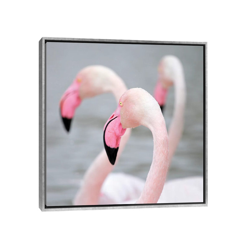 Reproduction de photo, "Flamingo I" par Ben Heine, H 18 po x l 18 po x 1,5 po, Toile avec cadre argenté, Pas de tapis
