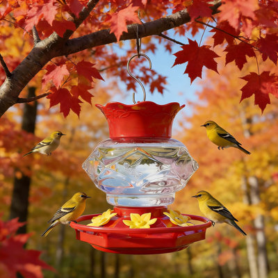 Ant And Bee Proof Hummingbird Feeder, 18OZ Leak-Proof Design With 6 Flower-Shaped Feeding Ports And Circular Perch For Outdoor Hanging, Easy To Clean And Fill