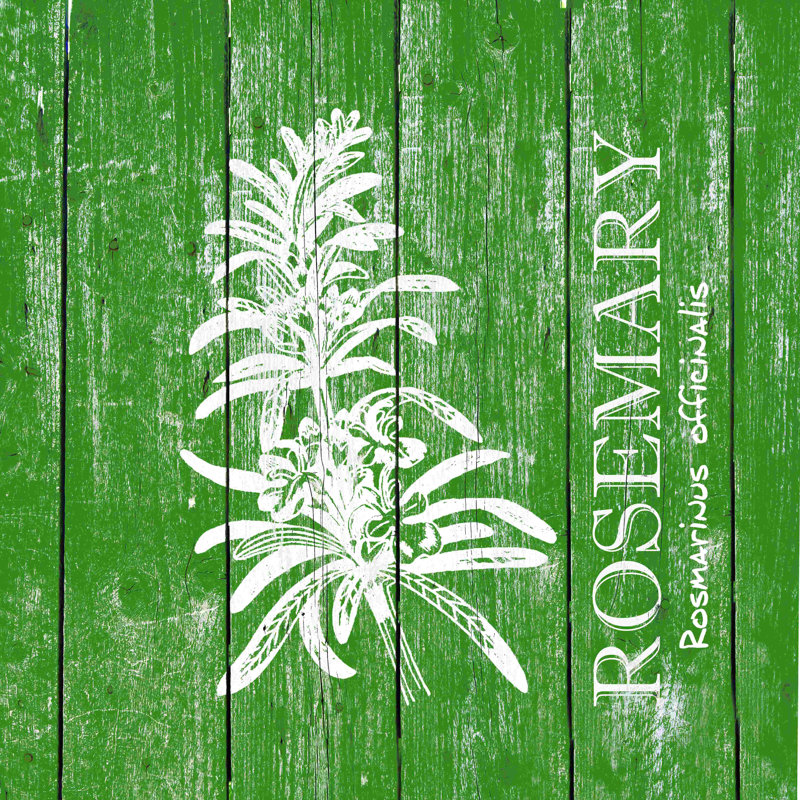 Rosemary - reproduction sur toile tendue, L 12 po x H 12 po