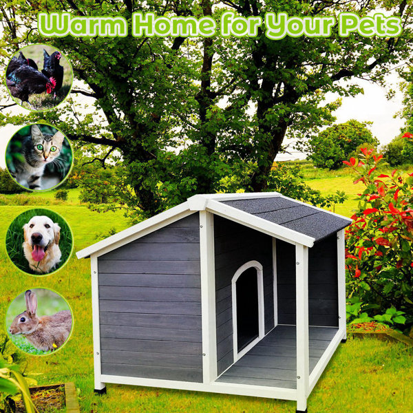 Tucker Murphy Pet™ Darious Gray Dog House | Wayfair