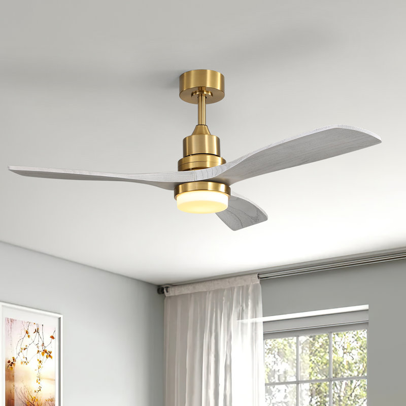 Ventilateur de plafond moderne à 3 pales de 52 po avec télécommande et ensemble d'éclairage Nicola,  Or / gris