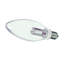 1 Watt Clear LED Bulb