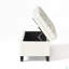 Repose-pieds moderne avec rangement pour le salon