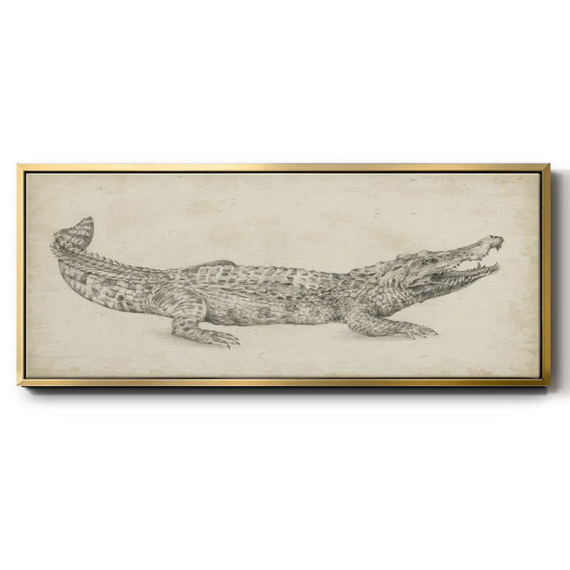 Crocodile Sketch- Framed Canvas, 24" H x 60" W