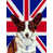 Corgi (brun et blanc) sélectionné