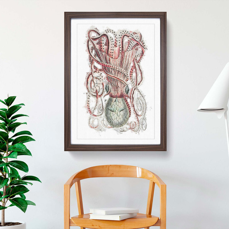 Cuttlefish by George Shaw - Framed Print, Walnut Framed, 36cm H x 27cm W x 2cm D
