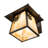 Rustic Lodge Solid Brass Armed Sconce
