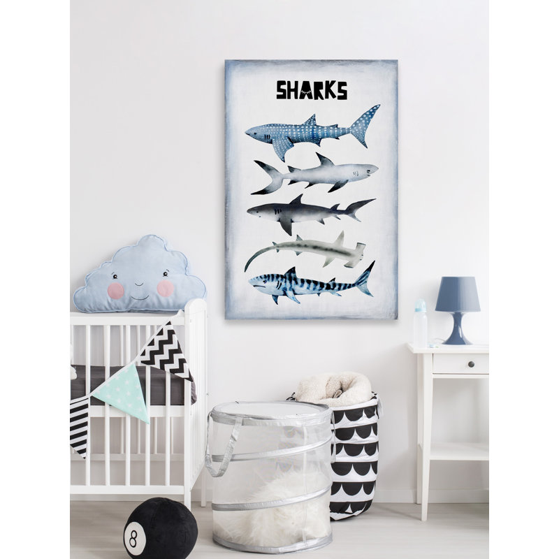 Assorted Sharks Print on Wrapped Canvas, 12" H x 8" W x 1.5" D