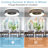 Ridgetop 22.4'' Ceiling Fan with LED Lights-844424611