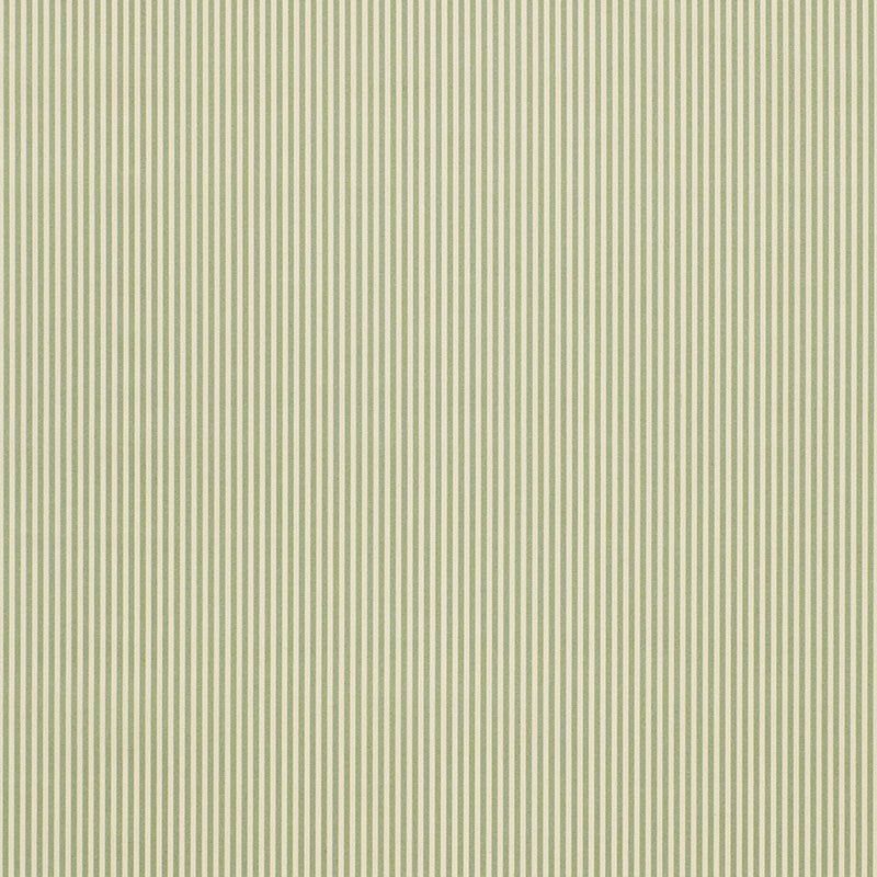 Newport Poplin Stripe Fabric