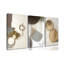 3 Piece Wrapped Canvas Set