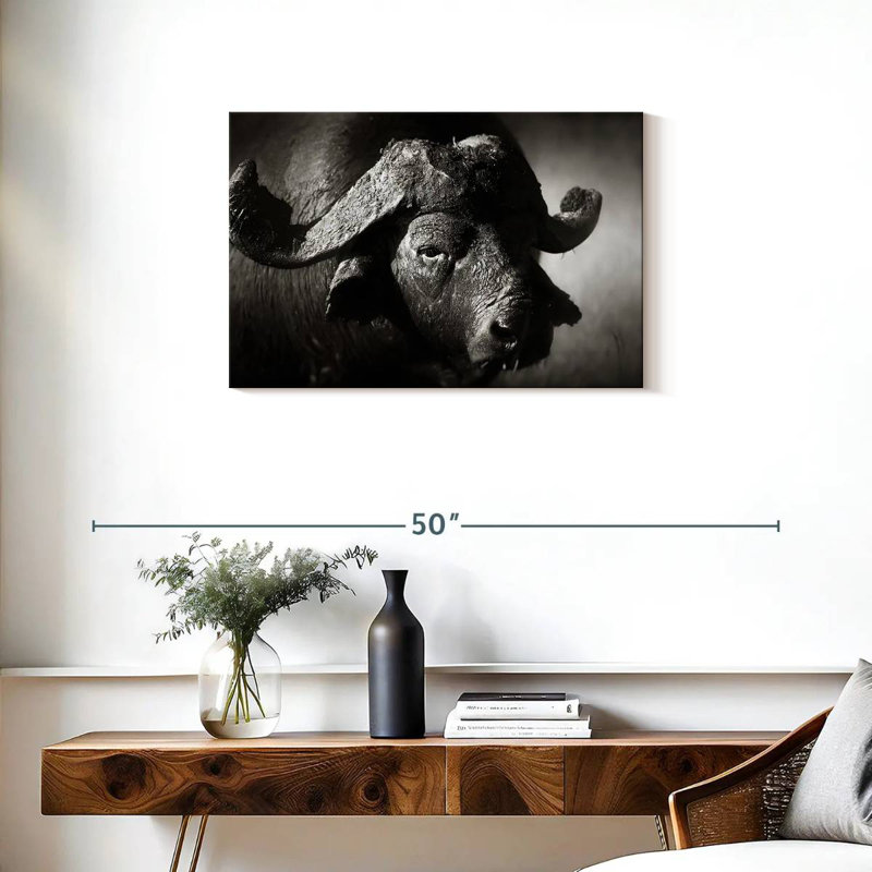 Buffle d'Afrique sauvage Brampt, H 20 po x l 30 po