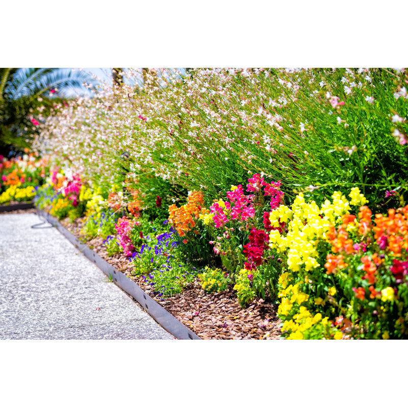 Flower Bed Garden by Ablokhin - Wrapped Canvas Print, 51cm H x 76cm W