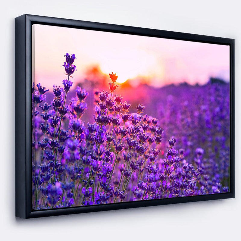 « summer coucher over lavande field », reproduction de photo sur toile tendue encadrée, H 16 po x l 32 po x P 1 po