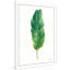 Palmes des tropiques III - peinture-978947088-978947090