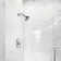 Eastport II Shower Faucet with Rough-in Valve