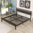 Boud Metal Platform Bed-686919733-686919735