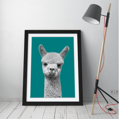 Happy Baby Alpaca Black And White - Single Picture Frame Print on Canvas