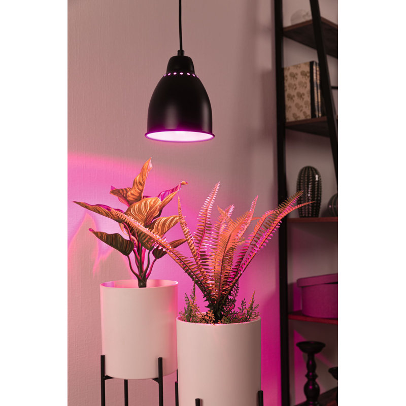 1 - Light Pendant, Black