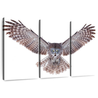 Brampt Owl Power