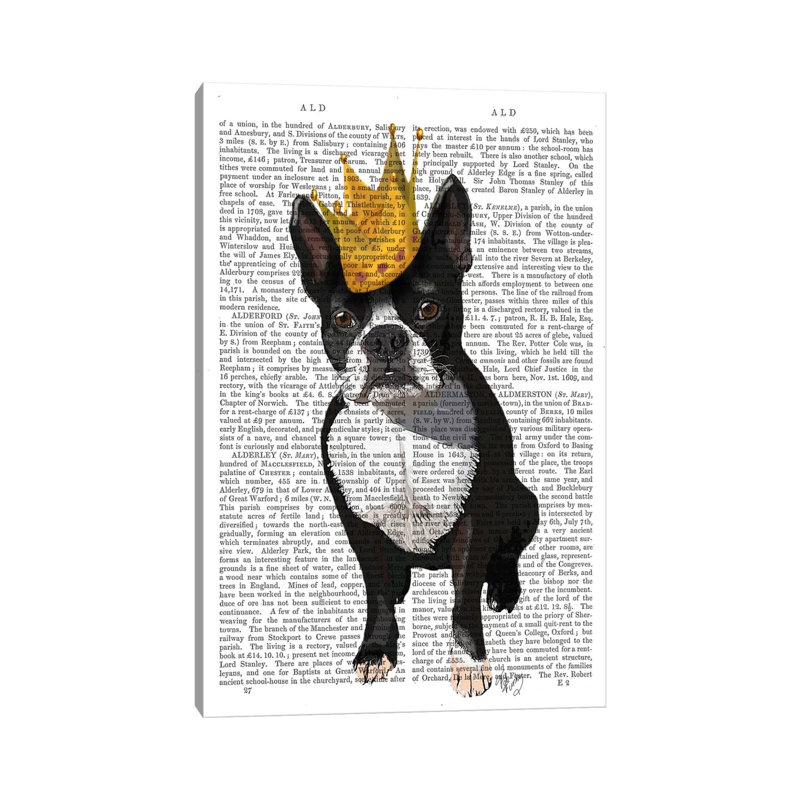Boston Terrier & Crown, Print BG by Fab Funky - Wrapped Canvas Print, 20.32 cm H x 30.48 cm W