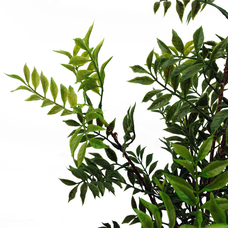 Eucalyptus Arrangement in Pot