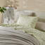 Ensemble de draps 100% coton-528417520-528417519
