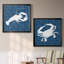 «Sea Patterner Lobster», ensemble de 2 reproductions d'impressions-867392898-867392897-867392896