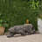 LEOPARD LIGHTWEIGHT CONCRETE BENCH