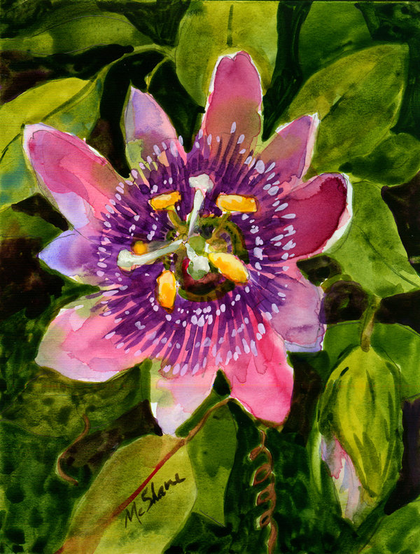 Fleur De La Passion Jardin Recto-verso Flag