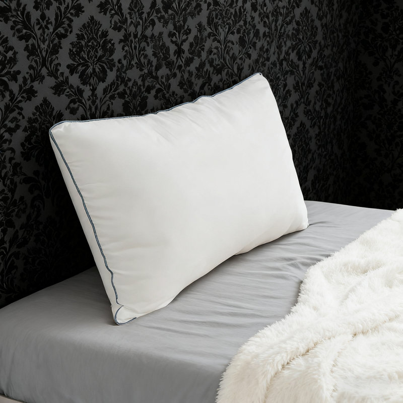 2 coussins décoratifs de style hôtel avec bordure bleue, doux et doux pour la peau, convenant à la chambre à coucher et au salon