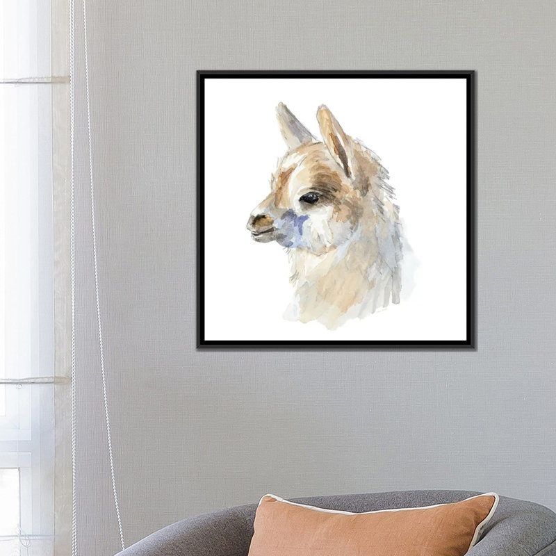 «Side Portrait Llama» par Lanie Loreth - reproduction d'art, Aucun mat, H 26 po x l 26 po x P 1,5 po, Toile avec cadre noir