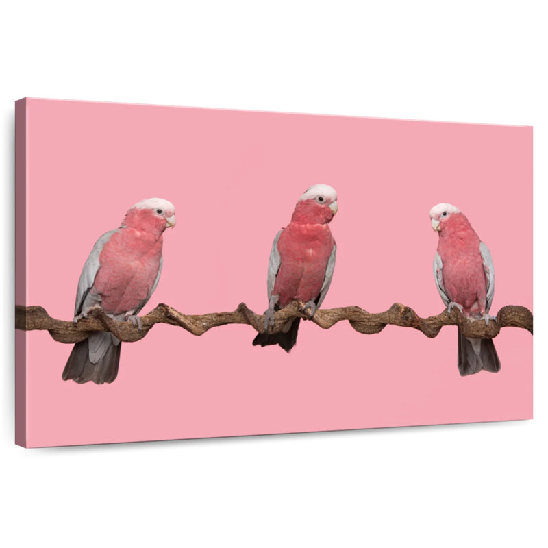 Trois oiseaux, H 8 po x l 12 po