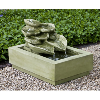 Hosta Fountain