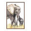 Animals-52152776-52152786