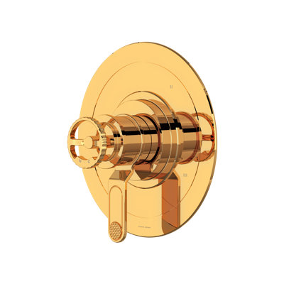 Armstrong 1/2" Therm & Pressure Balance Trim With 5 Functions