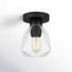 Maegan Single Light Glass Semi Flush Mount