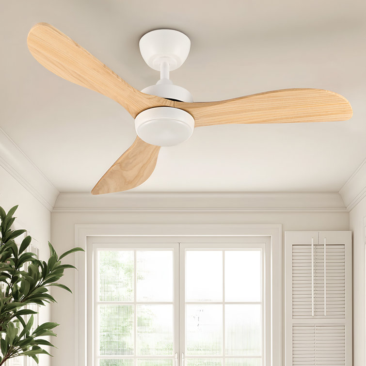42" 3 - Blade Small Room Ceiling Fan with LED Light and Remote