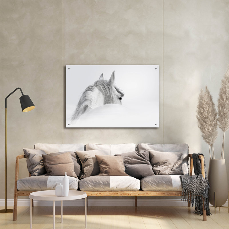 «White Horse» par PhotoINC Studio, H 24 po x l 36 po